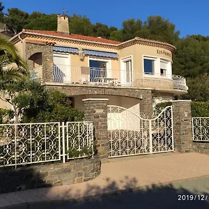 Meuble Tourisme 4*, Les Pieds Dans L'eau, Palmeras , La Londe-les-Maures Frankreich